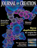 JOurnal of Creation volume 20 issue 1 Cover